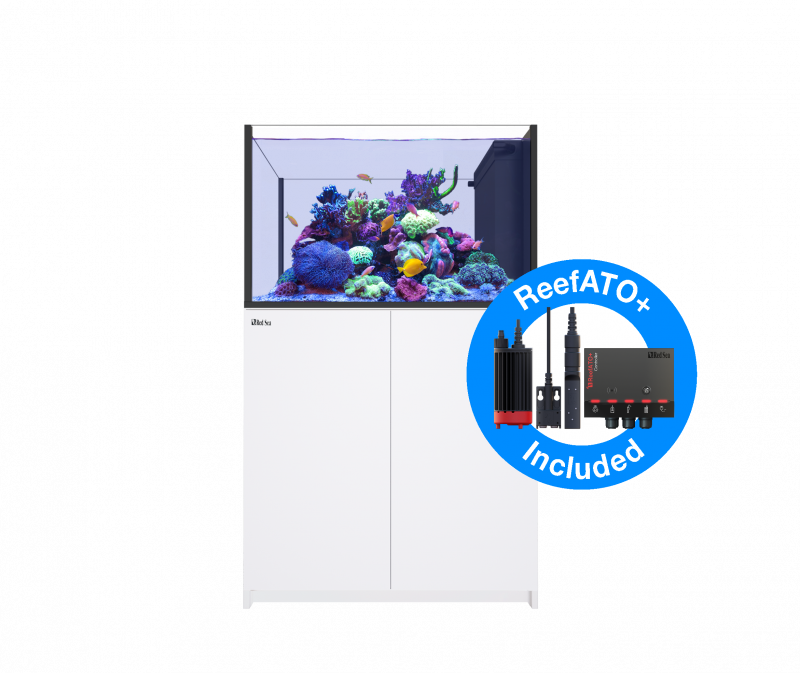 Red Sea Reefer Peninsula 350 G2+ DELUXE Meerwasseraquarium Komplettset